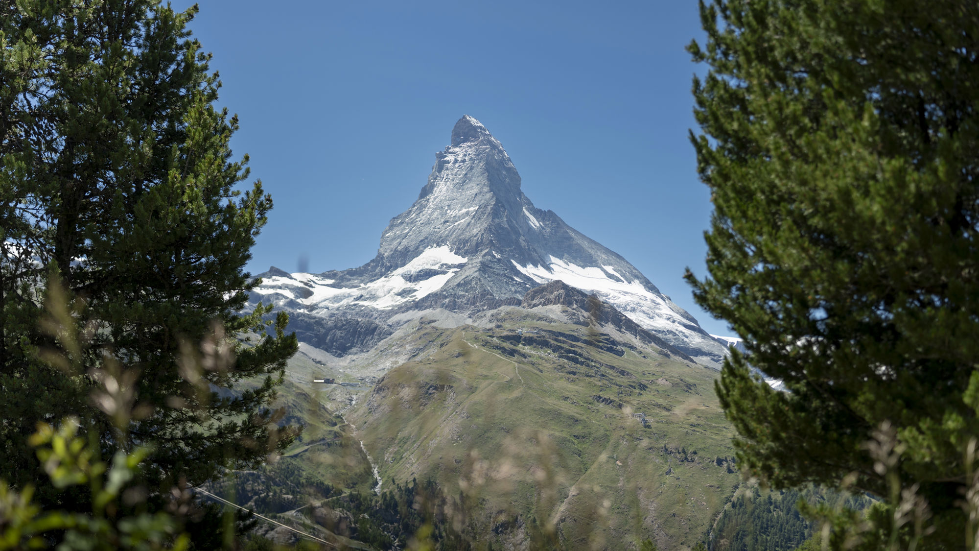 riffelalp-resort-cervin-entre-sapins-01.jpeg